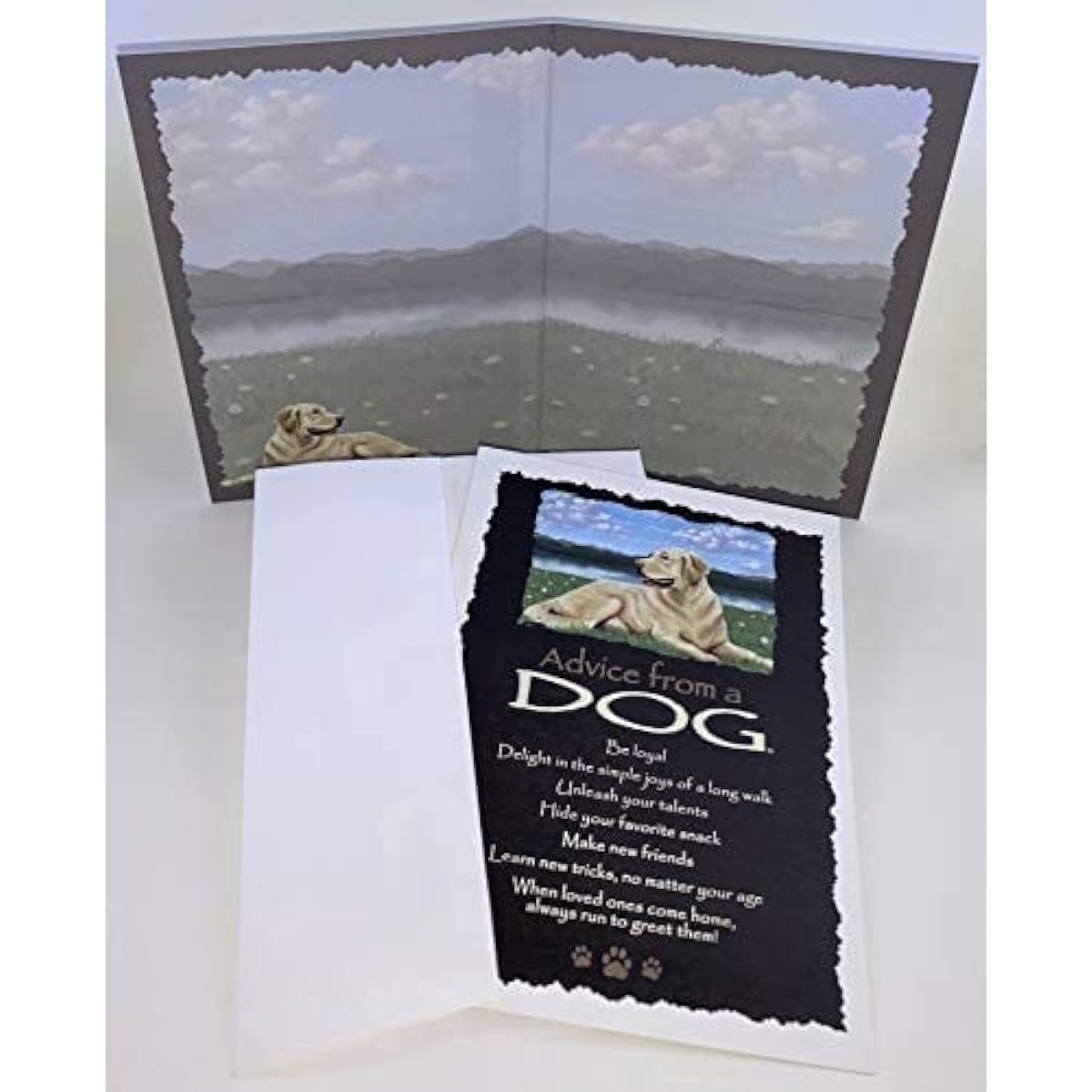 True Nature AMGC12-FAV Favorite Greeting Card Set Dog Cat Bear Eagle Hummingbird River Road Coyote Tree Wolf Campfire Bison