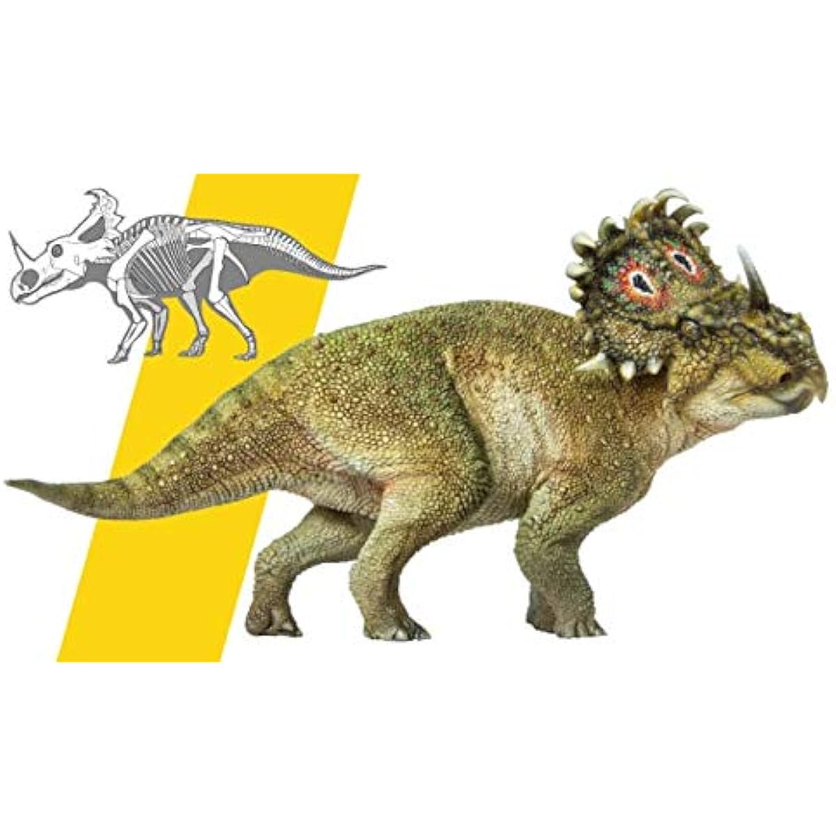 PNSO Sinoceratops azy Dinosaur Model Toy Tyrannosaurus Rex Dinosaur Science Art Model Real Animal Figure PVC Premium Plastic Model Painted Finished Product