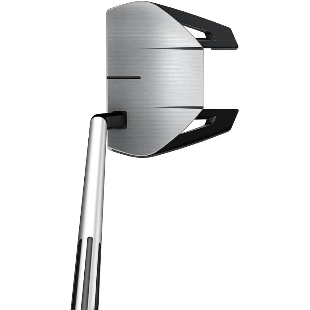TAYLOR MADE SPIDER GT Putter Small Slant Men's Golf Club Right Hand PT Hosel Type: Small Slant