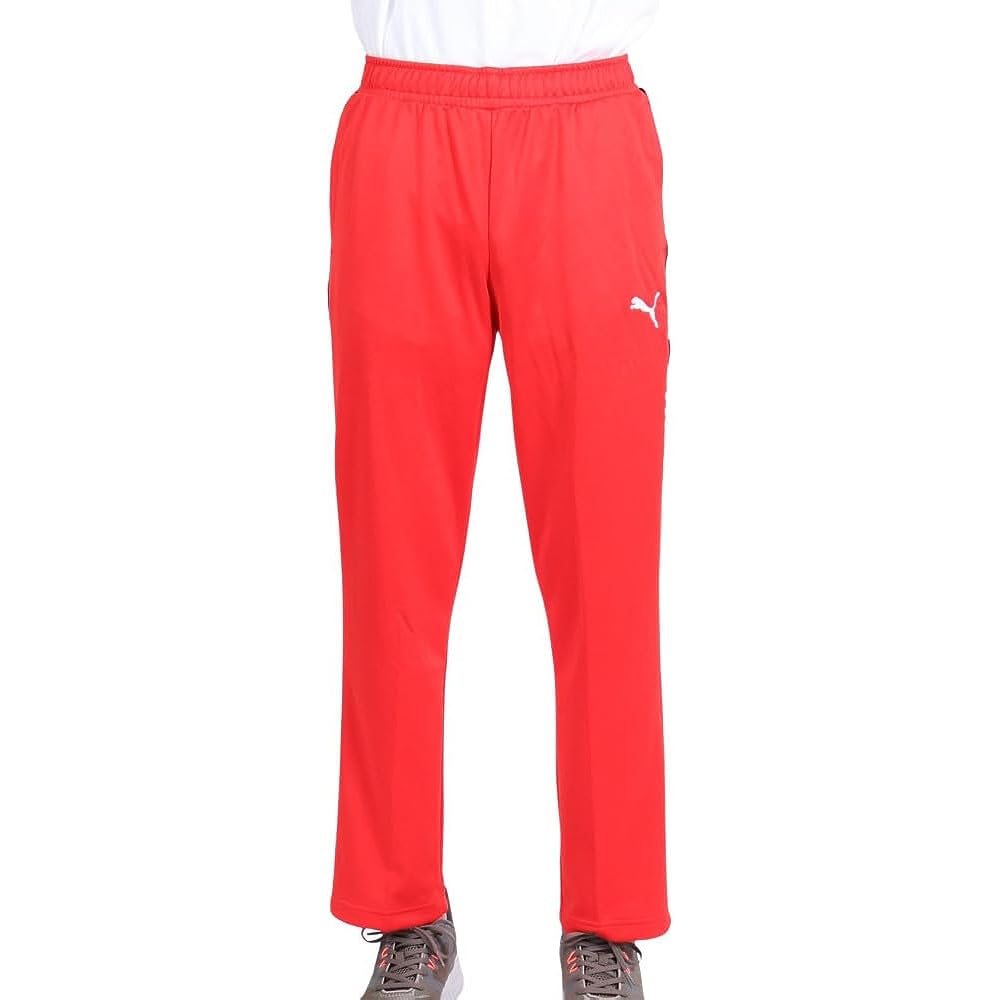 PUMA 523552 Men's Training Absorbent Quick Drying Jersey Knit Pants (Tape)