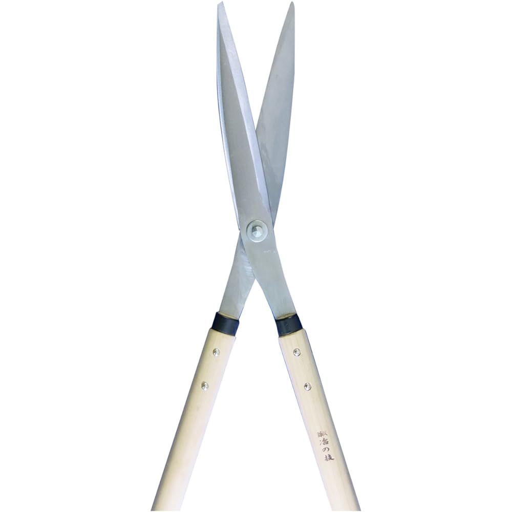 Blacksmith Technique Special Grade Leaf Cutting Shears Yanagi Blade Black Finish 210mm with Leather Case