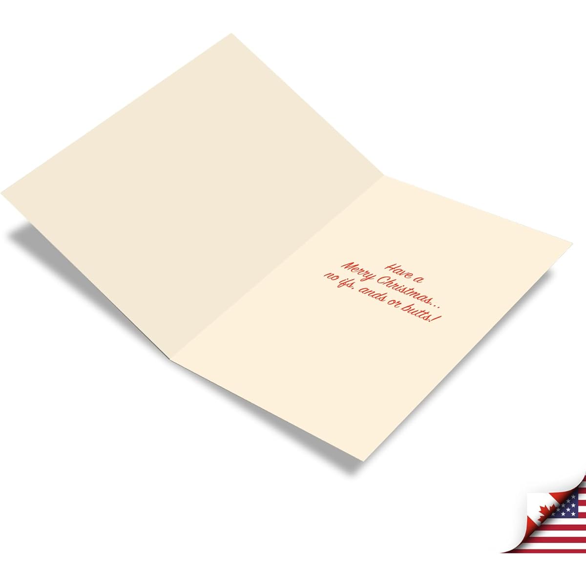 NobleWorks - 12 Funny Merry Christmas Cards (12 per Design) - Humor Note Card Set for Adults Christmas Boxed Holiday Greetings - Fat Santa C6699XSG-B12x1
