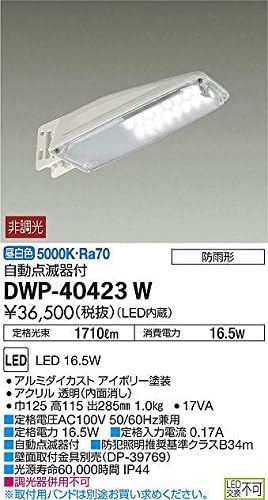 DAIKO Outdoor Security Light with LED Automatic Flasher (Built-in LED) LED 30W Daylight White 5000K DWP-40421W