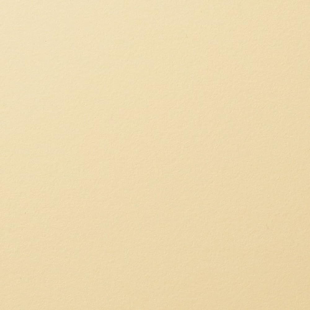 Nittaku Table Tennis Rubber Rigid Rapid Back Soft Tension NR-8580 (Speed)