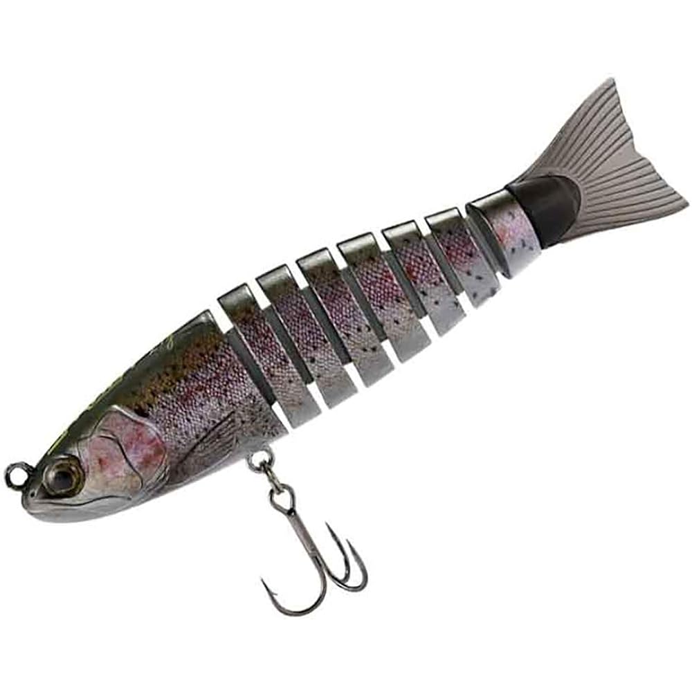 SMITH LTD BIWAA S Trout