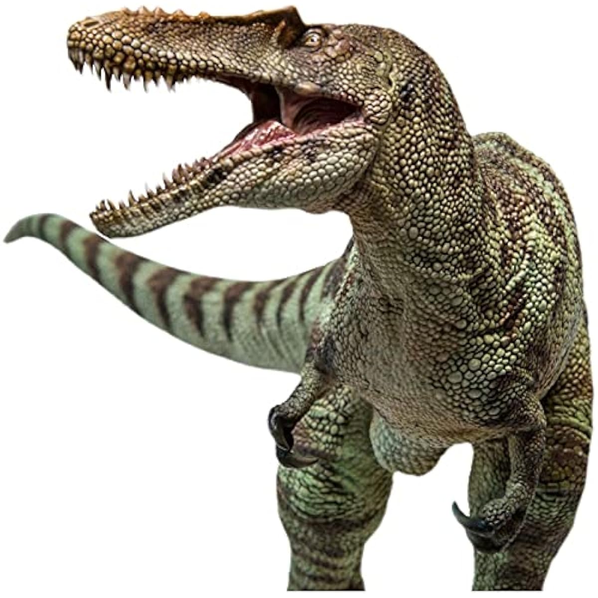 PNSO Qianzhousaurus Ash Dinosaur Model Toy Collectible Tyrannosaurus Rex Dinosaur Science Art Model Real Animal Figure PVC Premium Plastic Model Painted Finished Product
