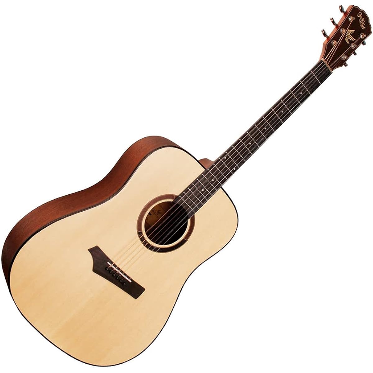 Gopher Wood Guitars i100 Acoustic Guitar 15-piece Select Set with Textbook and Maintenance Supplies Beginner Set Dreadnought Gopher Wood Guitars