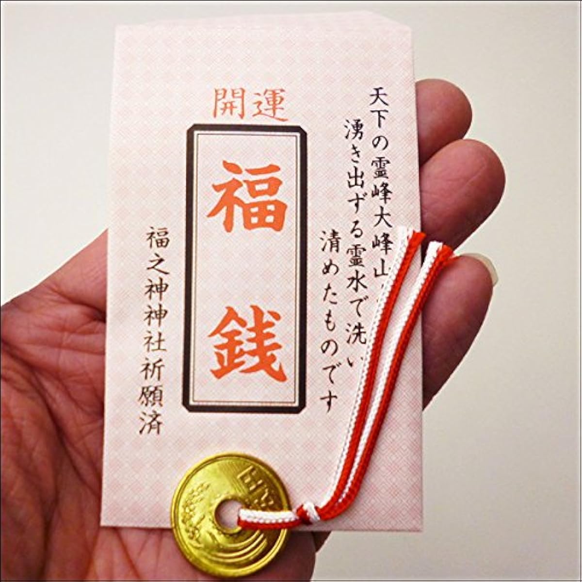 Lucky coins in a lucky bag (300 pieces) 742