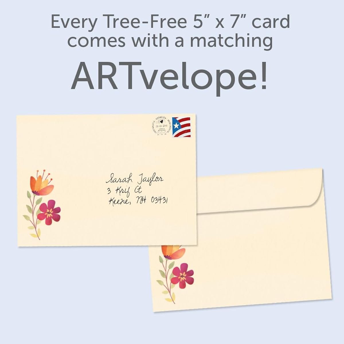Tree-Free Greetings Birthday Greeting Cards, Eco-Friendly, Made in the USA, 100% Recycled Paper, 5" x 7", The Best (GT61217)