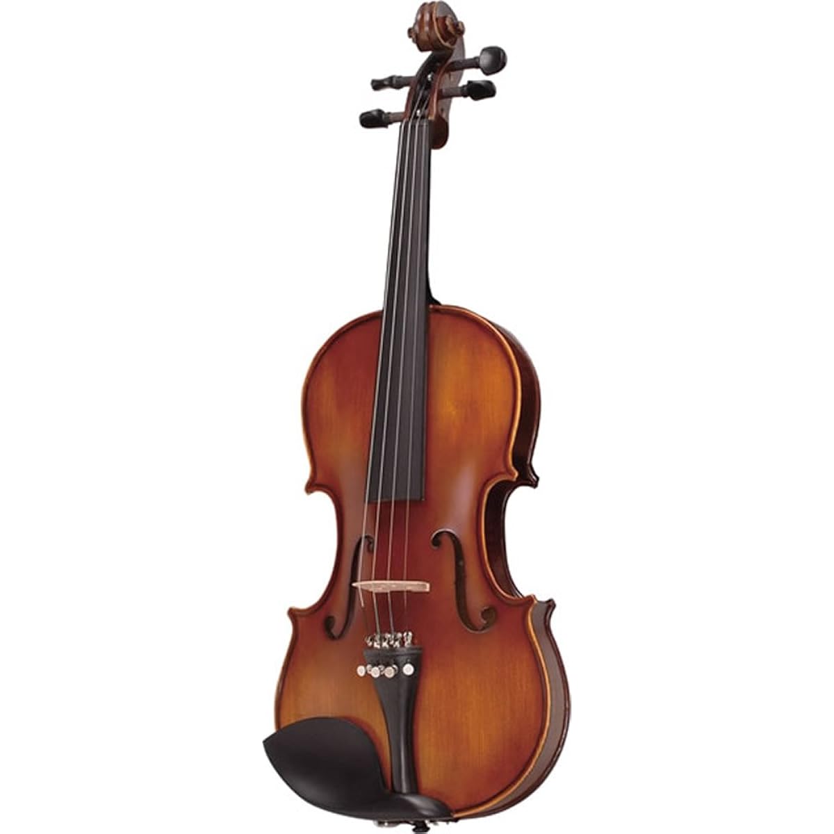 Hallstatt Beginner's Violin Set V-22 4/4 Size Violin (Regular Size)