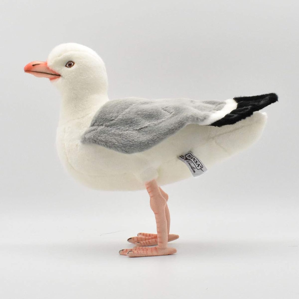 BH7259 HANSA Seagull
