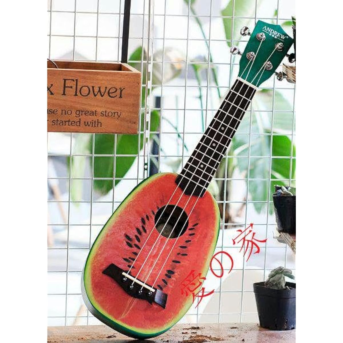 Watermelon Ukulele Beginner's Guide CI
