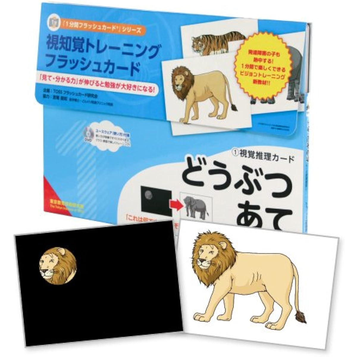 Visual Perception Training Flash Cards ①Visual Reasoning Cards Animal Guessing