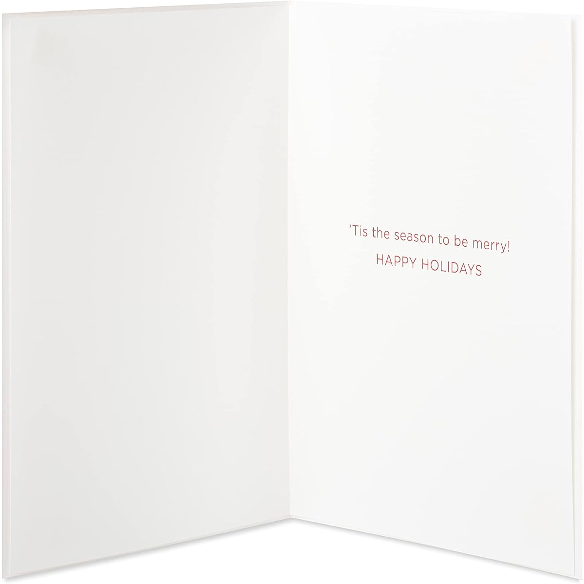Papyrus Dog Christmas Cards with Envelopes 'Tis the Season (8 Cards)