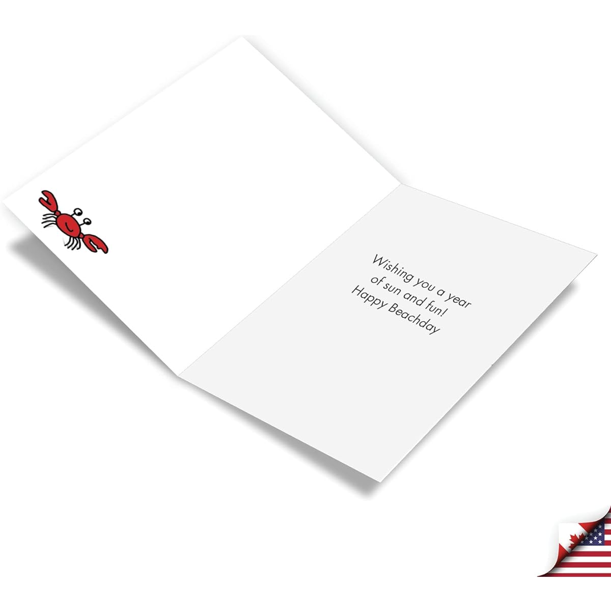 NobleWorks Funny Birthday Greeting Cards with 5" x 7" Envelopes (1 Card) BdayBeach Face C10279BDG