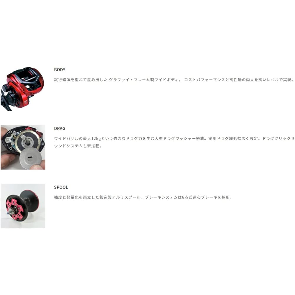 Tailwalk Reel Wide Basal