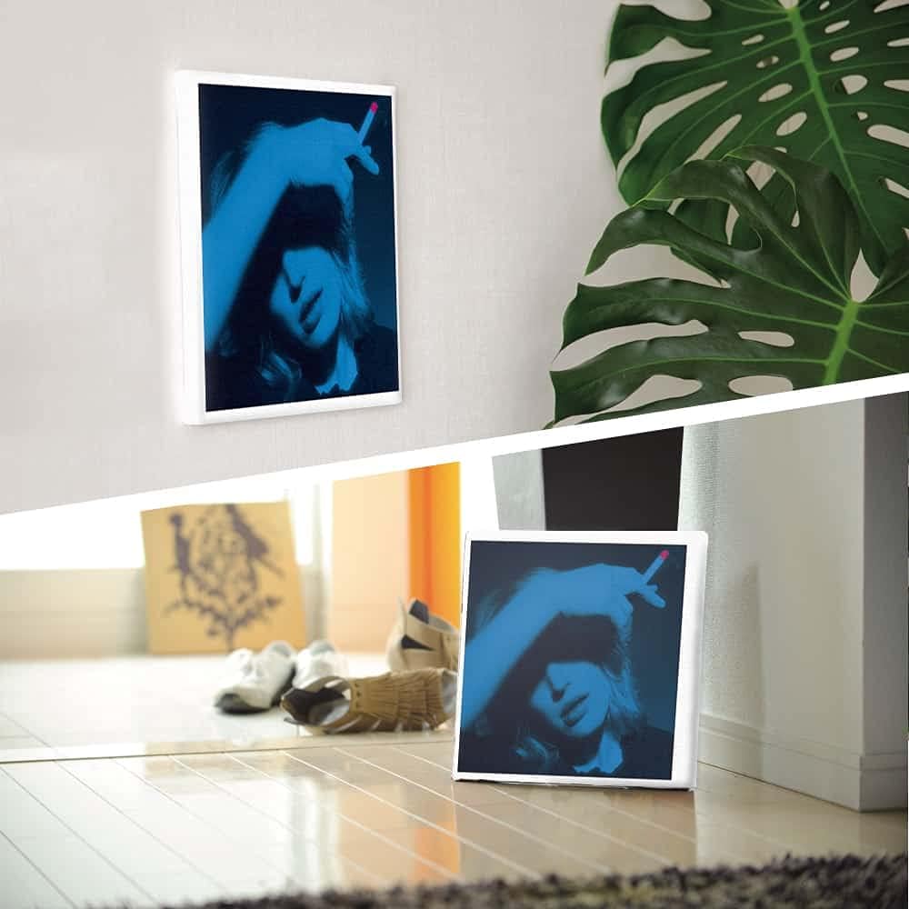 Art Deli Poster Dennis Morris Fabric Panel | Marianne Faithfull dms-0019-L L size