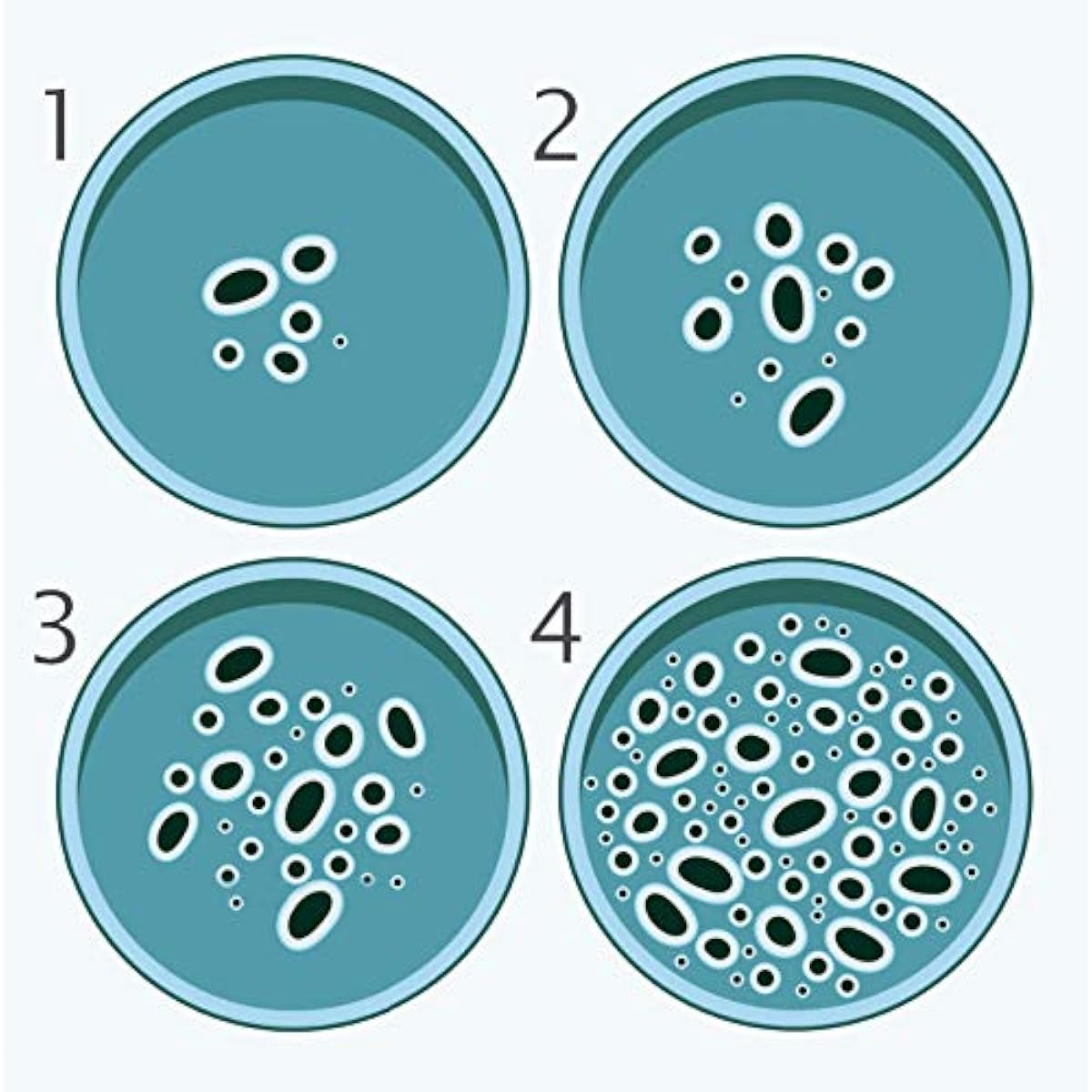 Onnetila Bacteria Science Kit Petri Dishes Agar Educational STEM Science Fair Project Kit for Ages 9+