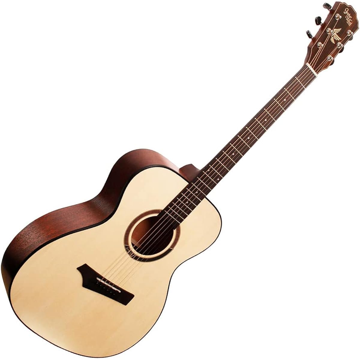 Gopher Wood Guitars i110 Acoustic Guitar 12-piece Select Set with Textbook Beginner Set OOO Size Gopher Wood Guitars