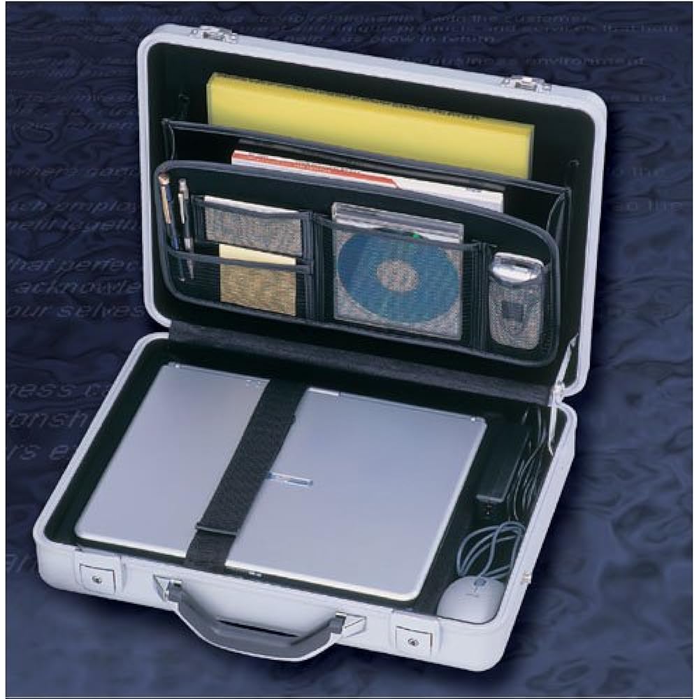 Iris Ohyama aluminum case AM-1000