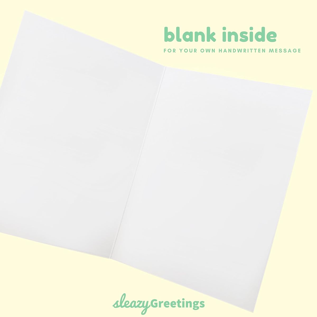 Sleazy Greetings Funny Wedding Cards | Funny Congratulations Cards | Rude Wedding Cards for Bride and Groom | Bridal Shower Cards | Without Living in Sin
