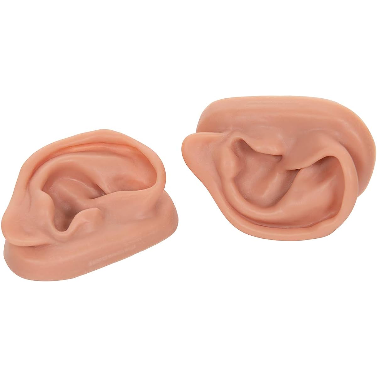 3B Scientific N15 Silicone 2 Point Ear Model 3.7" x 2.4" x 1.6"