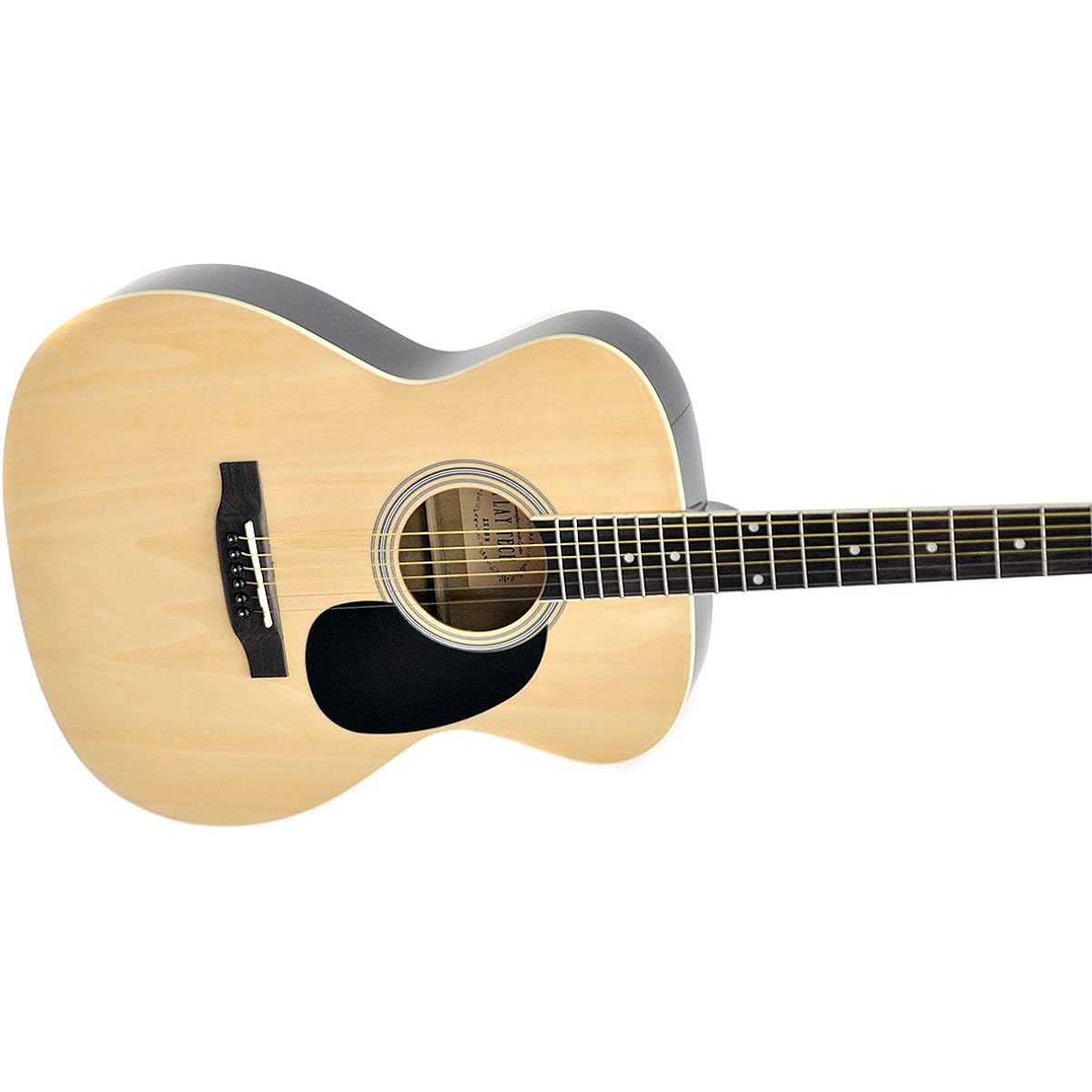 PLAYTECH (formerly ZENN) Playtech Zen Acoustic Guitar ZS18 Acoustic Guitar