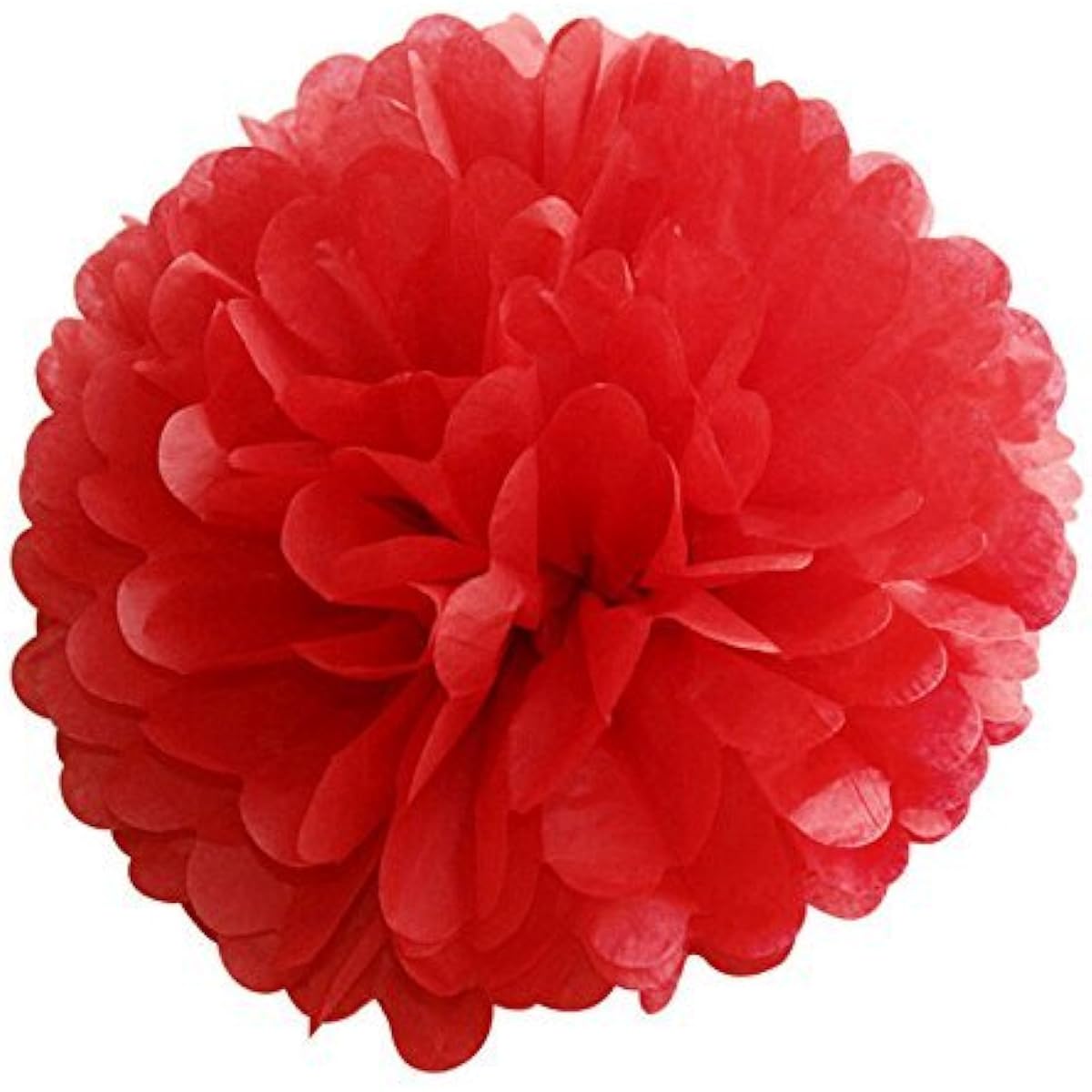 Fascola Tissue Paper Pom Pom Flowers and Paper Lanterns Party Decorations 14 Pieces