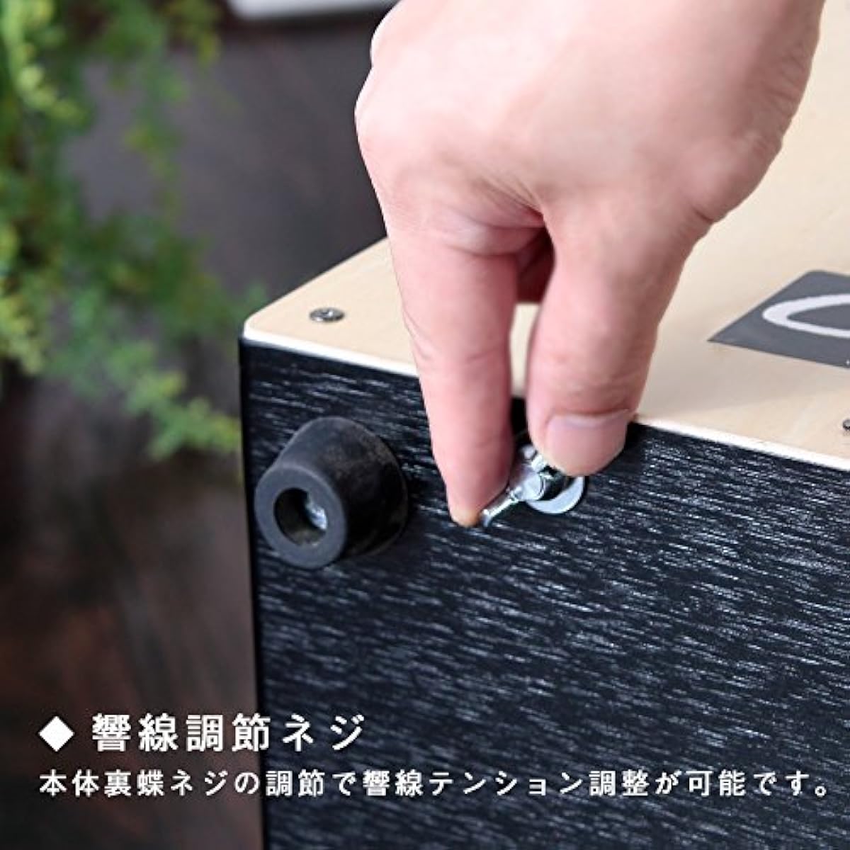 Cajon (with Snappy) Made in Japan TCA-2