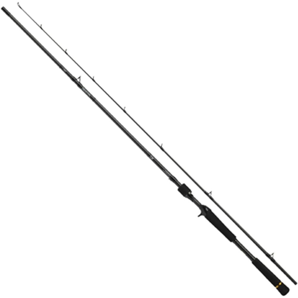 DAIWA Seabass Rod Lablax AGS BS