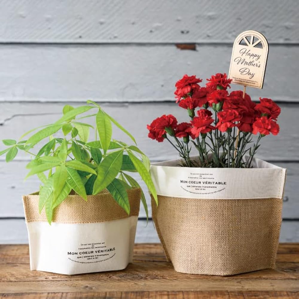 HEADS Pot Cover 31 x 19 x 18cm Linen 10 Pieces Cotton Pot Cover Handmade HEADS ALN-HML