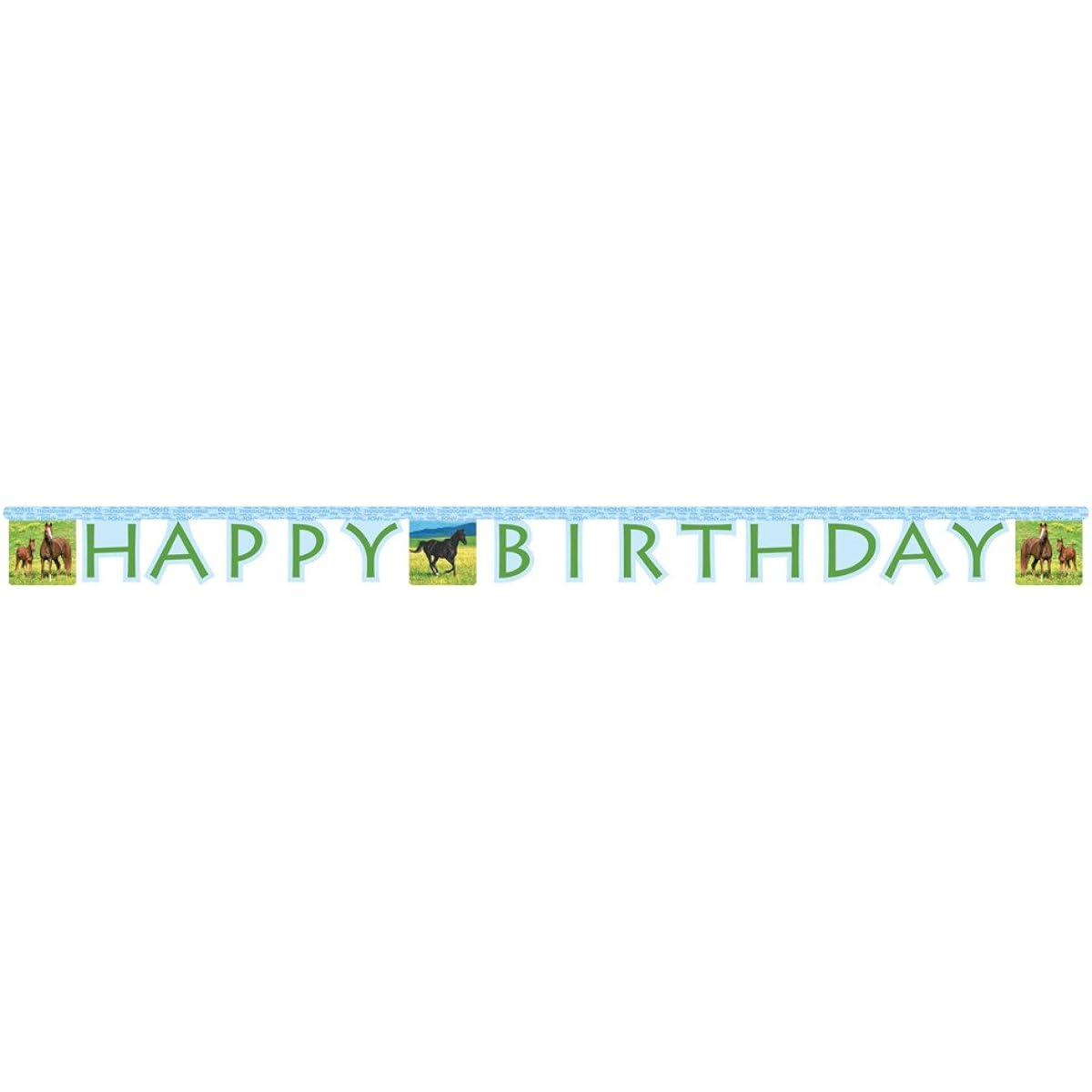 Creative Converting Wild Horses Happy Birthday Jointed Party Banner One Size 295804