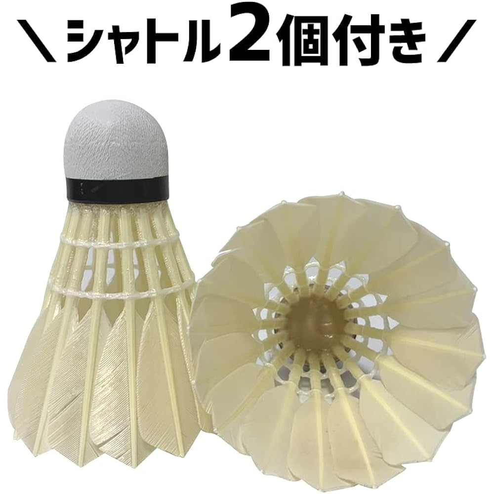 Badminton racket B4000G with shuttle for beginners practice training waterfowl standard Yonex case gut tensioned