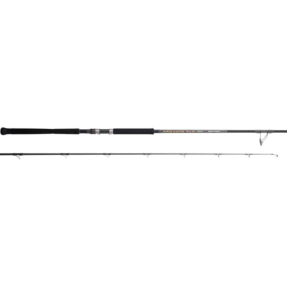 Tenryu Rod Power Master