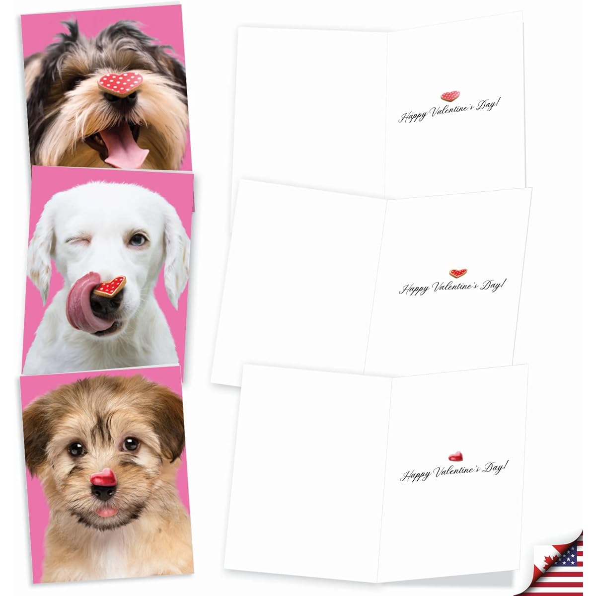 The Best Card Company Heart Dog - 20 Boxed Valentine's Day Note Cards with Envelopes (4 x 5.12 inches) - AM9161VDG-B2x10