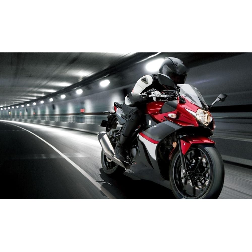 Muffler For Yamaha for YZF-R1 R1 R1 2004 2005 2006 2007 2008 2009 2010 2011 2012 2013 2014 Motorcycle Exhaust Modified Front Link Pipe Connecting Pipe (Color: 1)