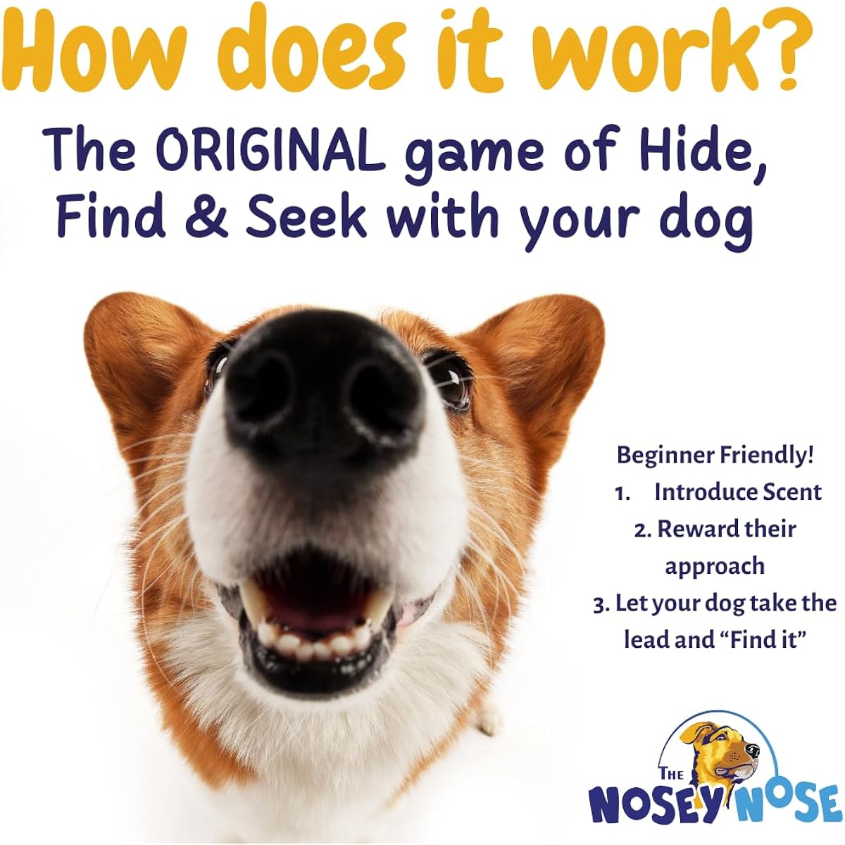The Nosey Nosey Nosework Scentwork Training Dog Puzzle Brain Game Anise Scent (Zipper Pouch)