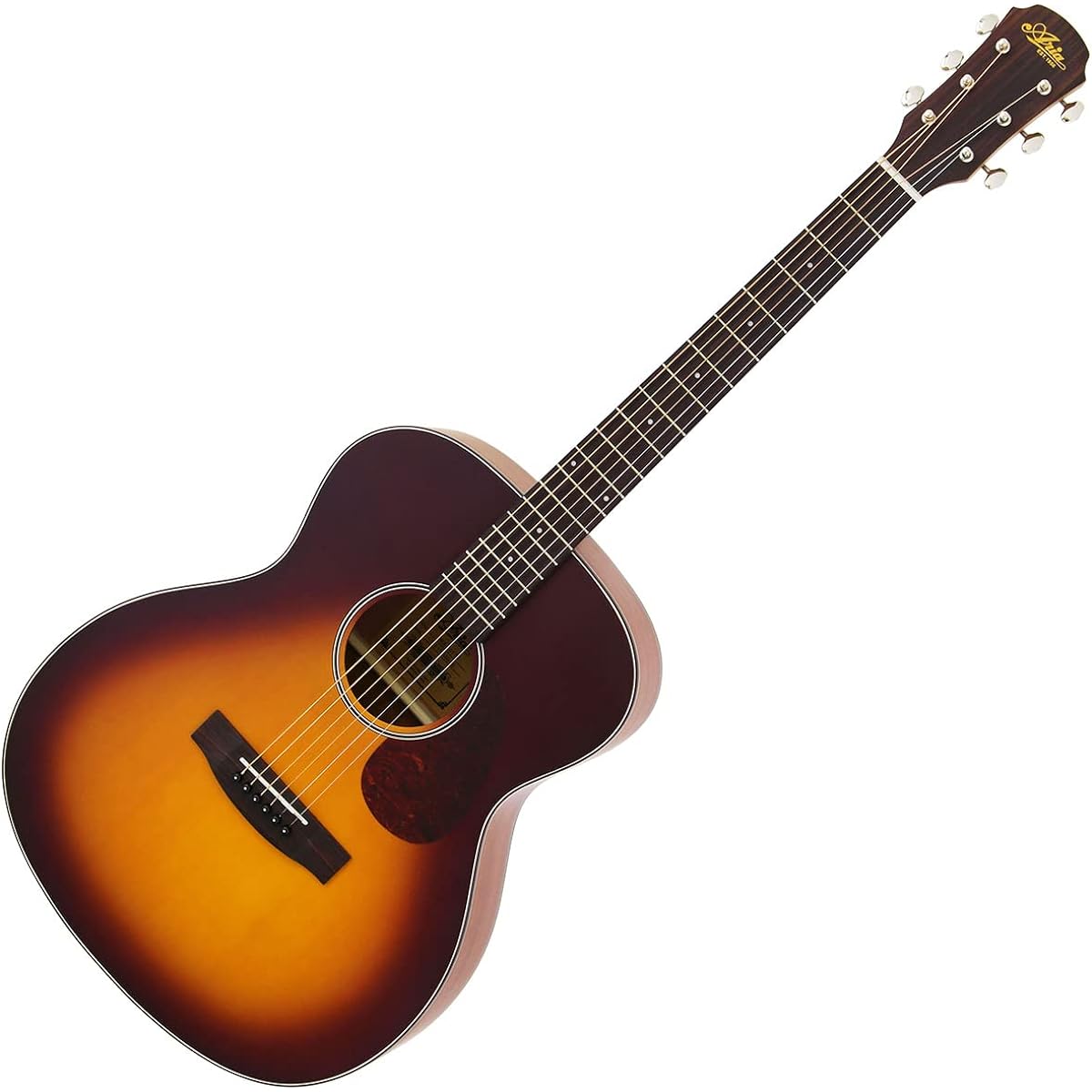 ARIA Aria-101 MTTS Acoustic Guitar Beginner Set 12-piece Set Matte Tobacco Sunburst Matte Finish Aria