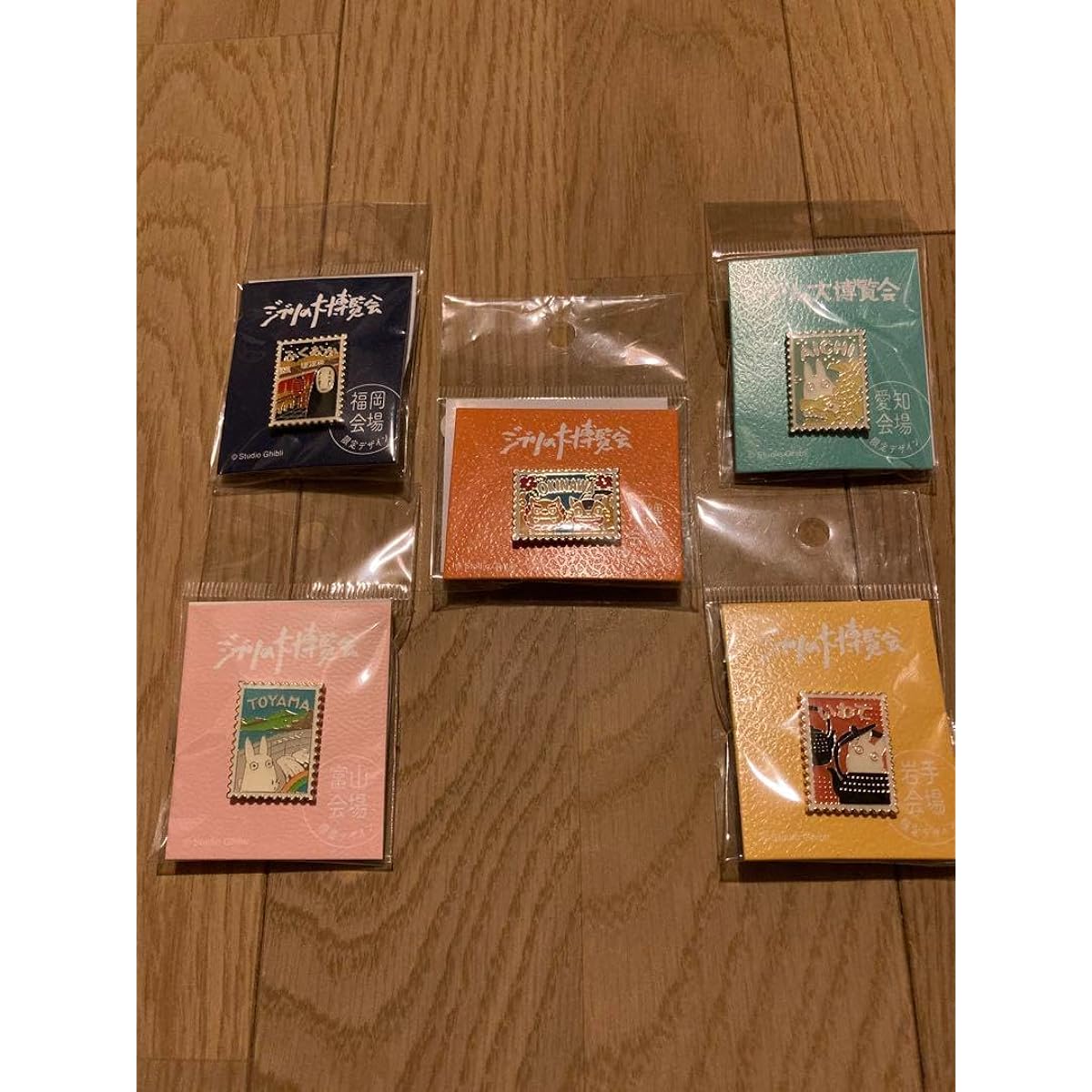 Limited edition pin set of all 5 types from the Compziv Exhibition Iwate Toyama Aichi Fukuoka Okinawa 3HW