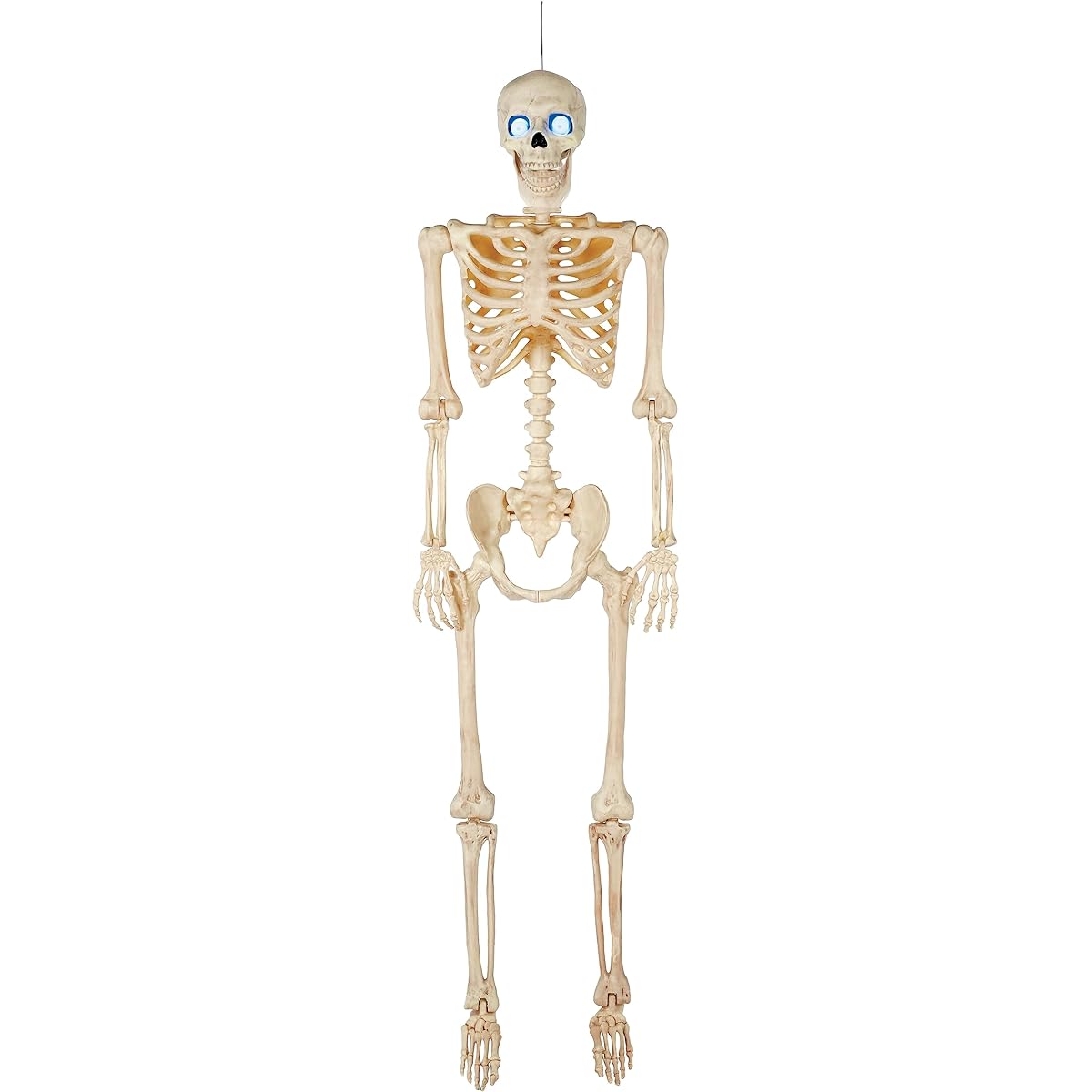 Crazy Bonez Talking Pose and Stay Skeleton