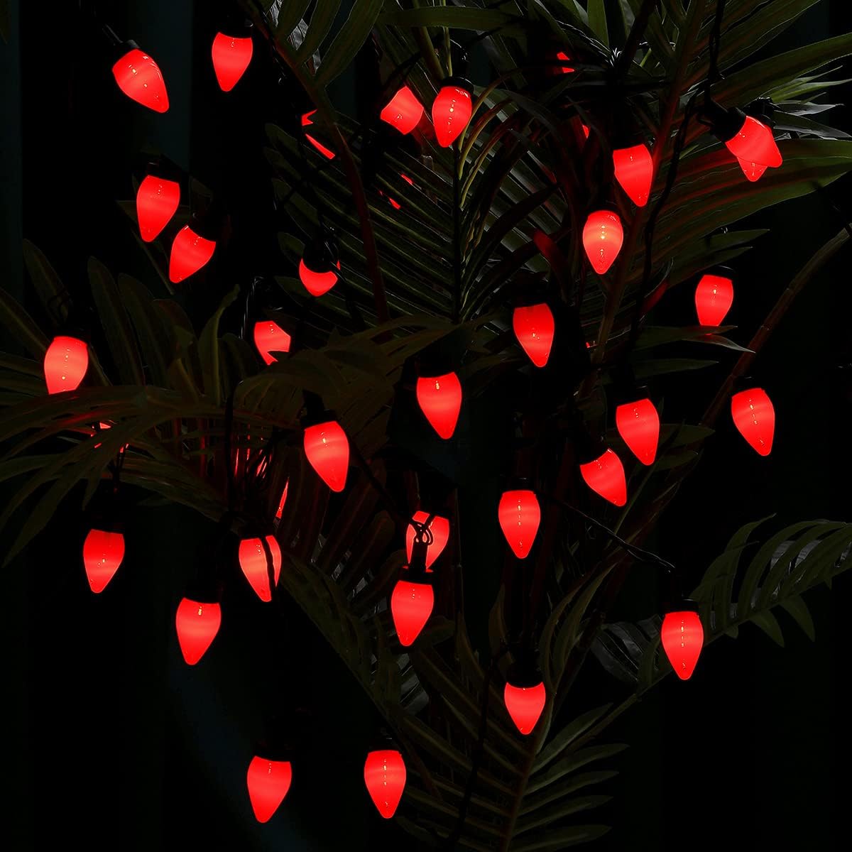 SPD light (black)