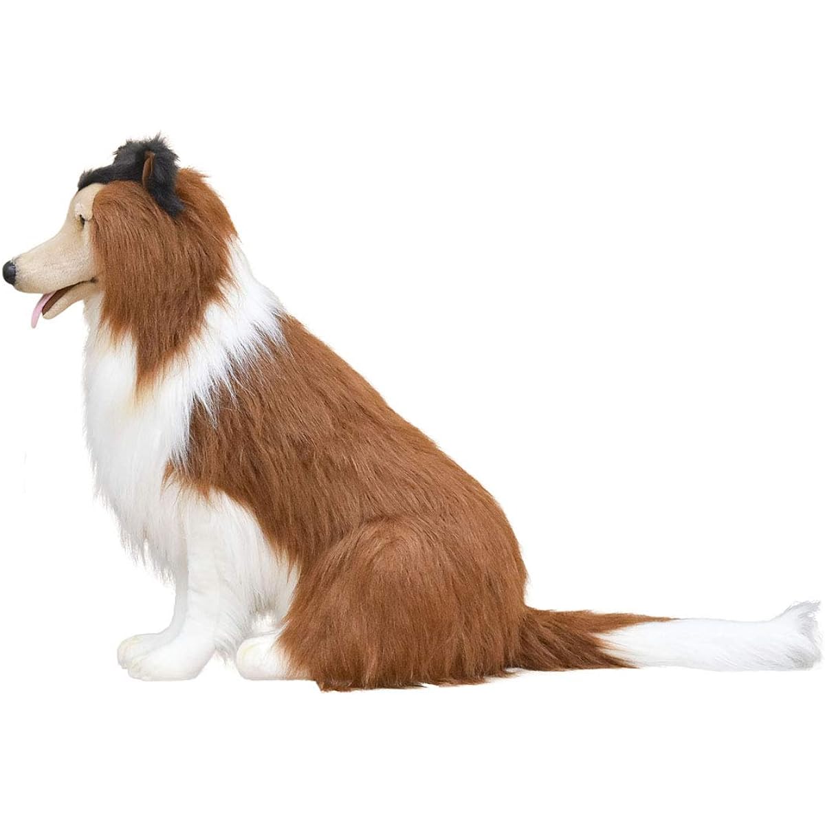 BH3800 HANSA Collie 100