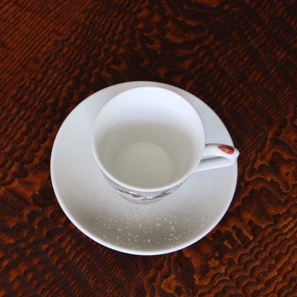 Toshito Nakamura Kutani ware coffee cup and saucer snow sparrow illustration porcelain made in Japan