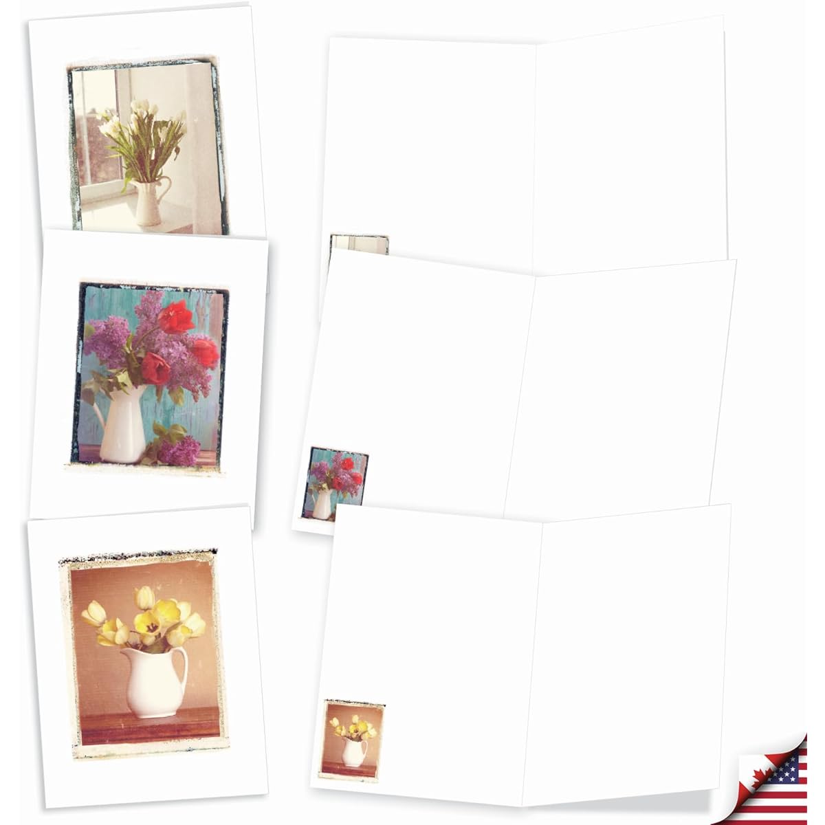 The Best Card Company Foto Florals - 20 All Occasion Cards Boxed - Bulk Set AM9540OCB-B2x10