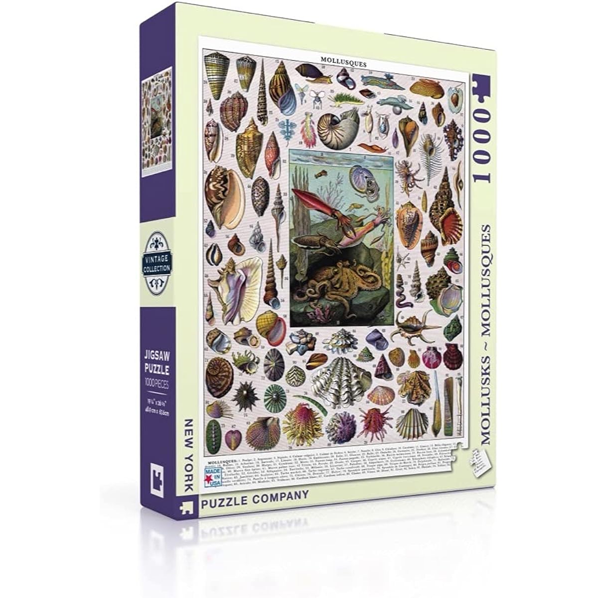New York Puzzle Company - Vintage Images Mollusks - 1000 Piece Jigsaw Puzzle