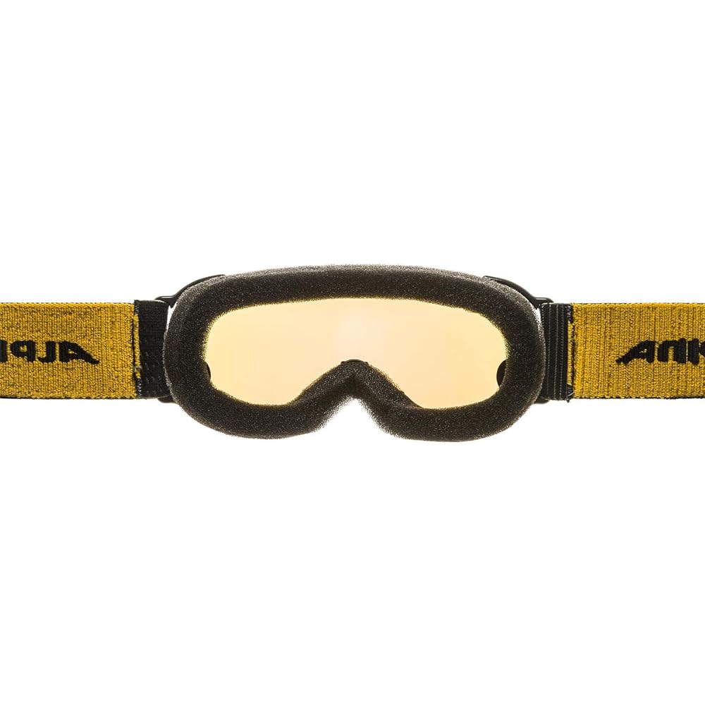 ALPINA Children's Ski Snowboard Goggles Mirror Lens Anti-Fog Double Lens PHEOS JR HM