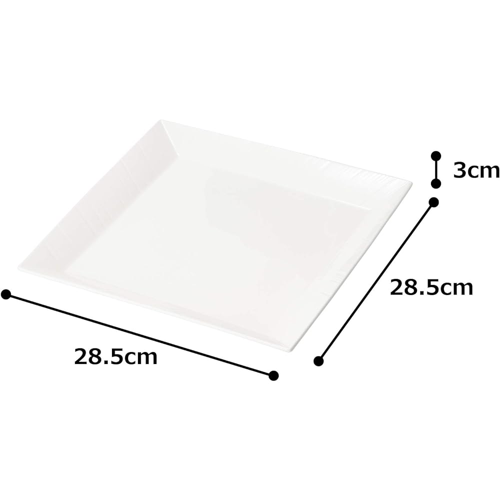 NARUMI Plate Dish Esprit White 28cm Microwave Warmable Made in Japan 50180-3450