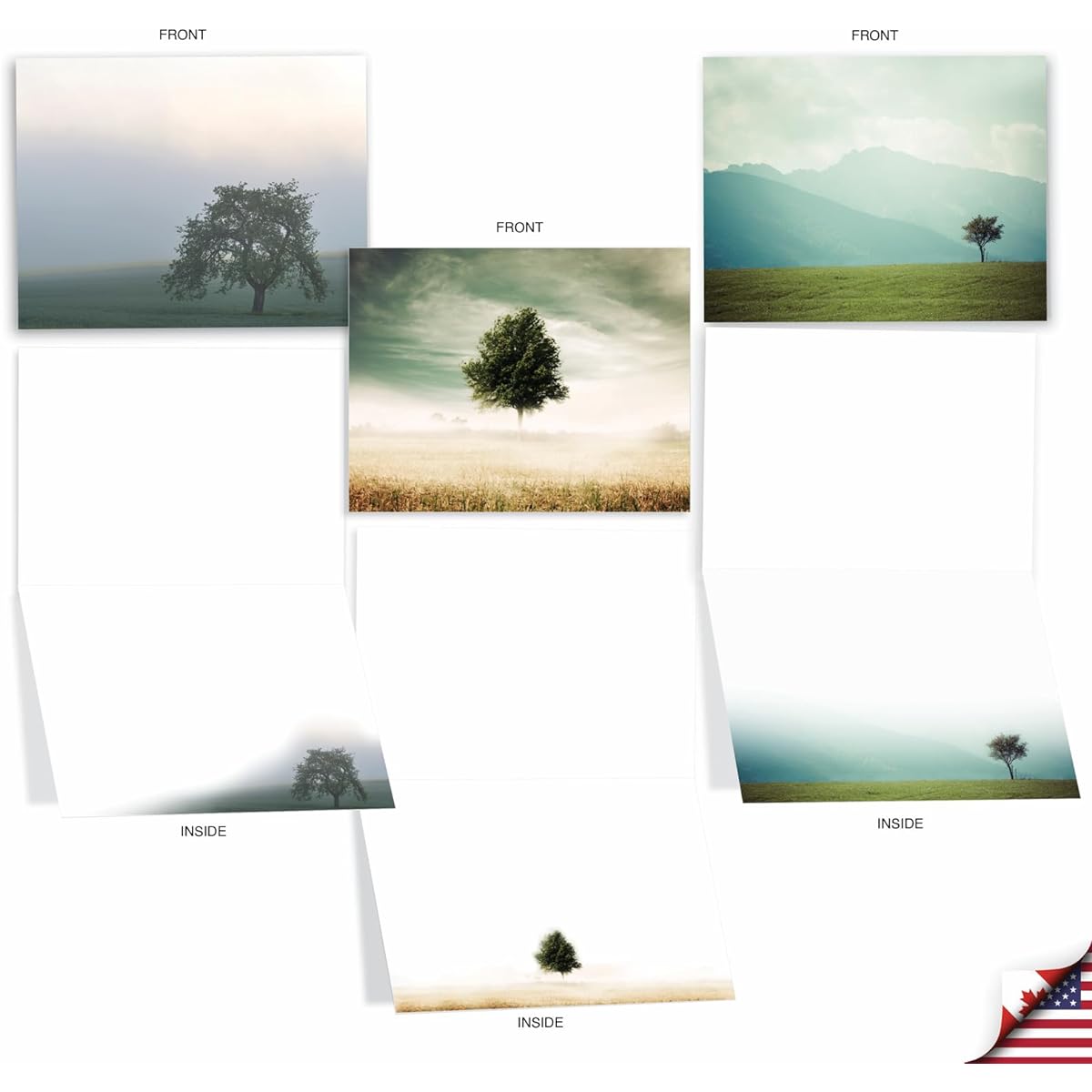 The Best Card Company Timeless Tree 20 All Occasion Cards Boxed Bulk Set AM9524OCB-B2x10