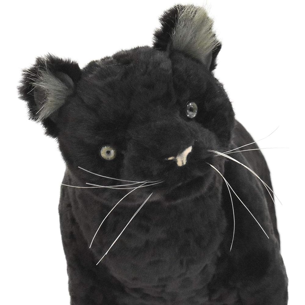 BH7006 HANSA Black Leopard 34