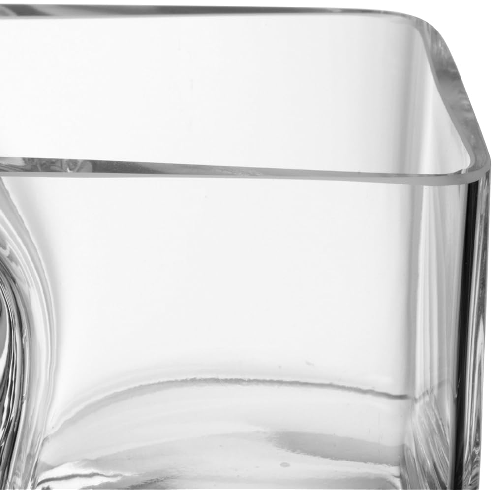 LSA Trio Dish Clear Length 30cm SERVE G687-30-301